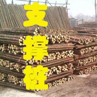 杉木樁|杉木綠化桿，上海1.5米/2米/3米杉木樁