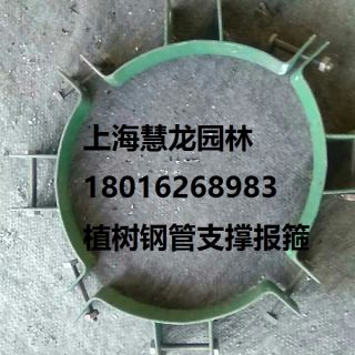 大樹報箍，植樹支撐報箍，鋼支撐報箍