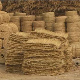 上海綠化草繩草包批發(fā)零售，土球繩，繞樹(shù)繩